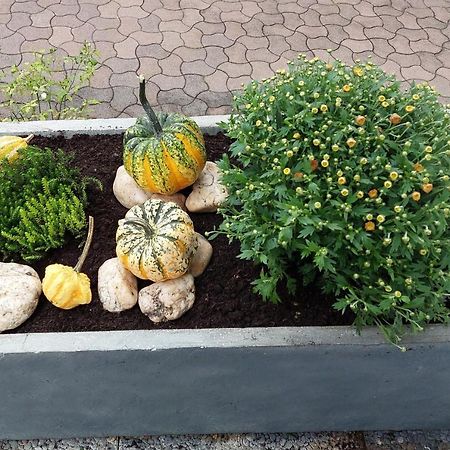 Ferienwohnung "Auszeit" Hofheim in Unterfranken Εξωτερικό φωτογραφία