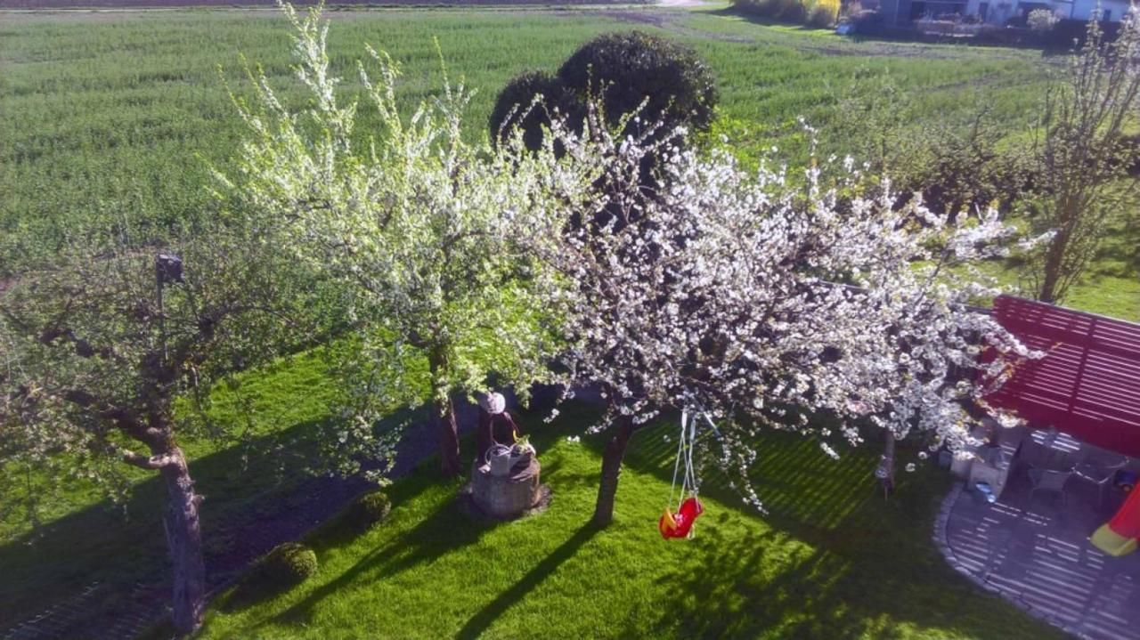 Ferienwohnung "Auszeit" Hofheim in Unterfranken Εξωτερικό φωτογραφία